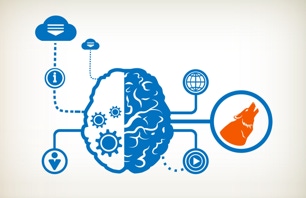 formation éthologie chien